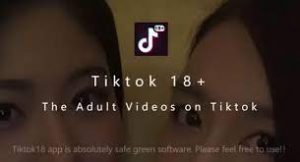 TikTok Adults Version APP