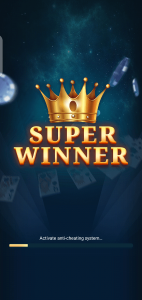 Super Winner