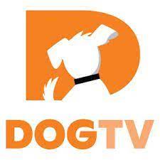 Doge TV APK