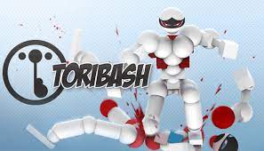 APK Toribash