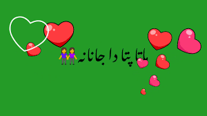 APK Layar Hijau Pashto