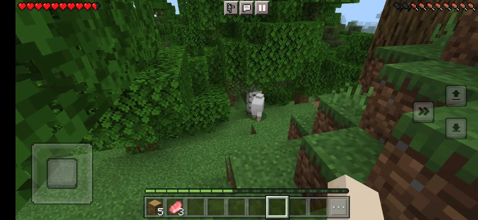Minecraft H APK