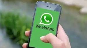 Provid Whatsapp Profile Video Apk