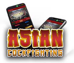 Asian Cockfighting App Download
