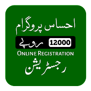 Ehsaas Program Cnic Check Online APK