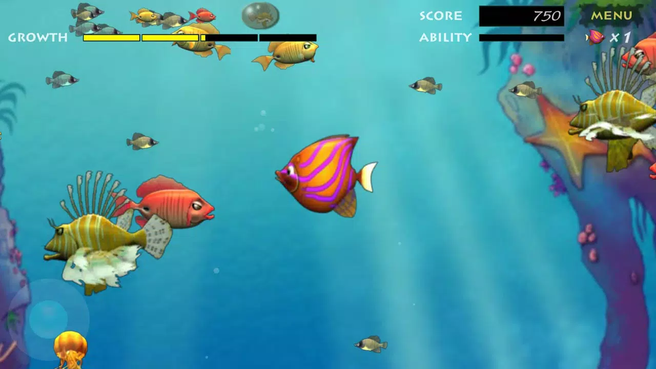 Feeding Frenzy APK