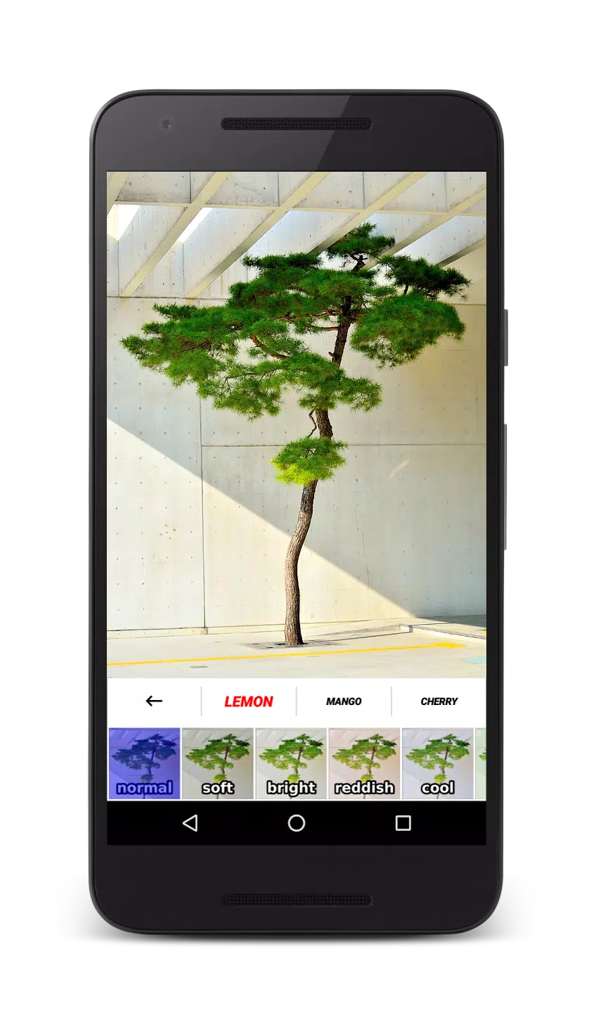 JS Fotocamera APK