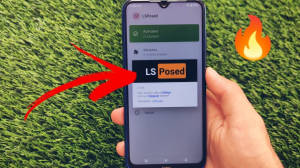 LSPosed APK