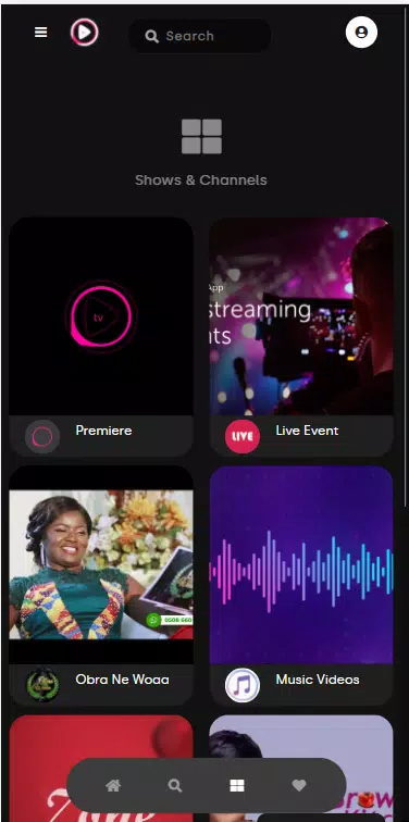 PerfectTV APK