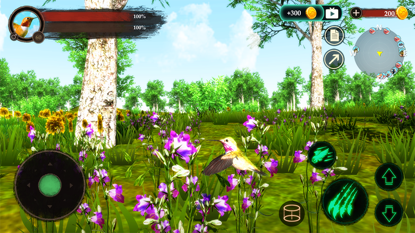 HummingBird Game APP